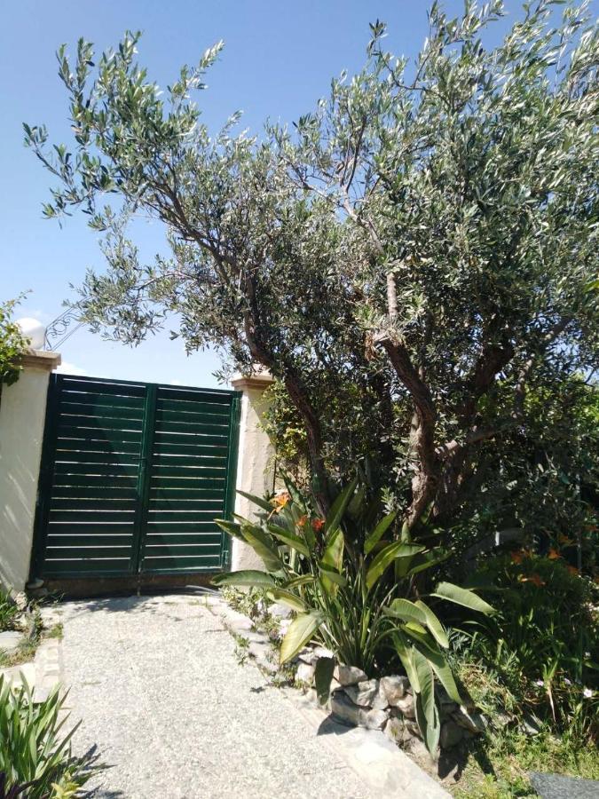 Arhontiko Kastelorizia Villa Afantou Bagian luar foto